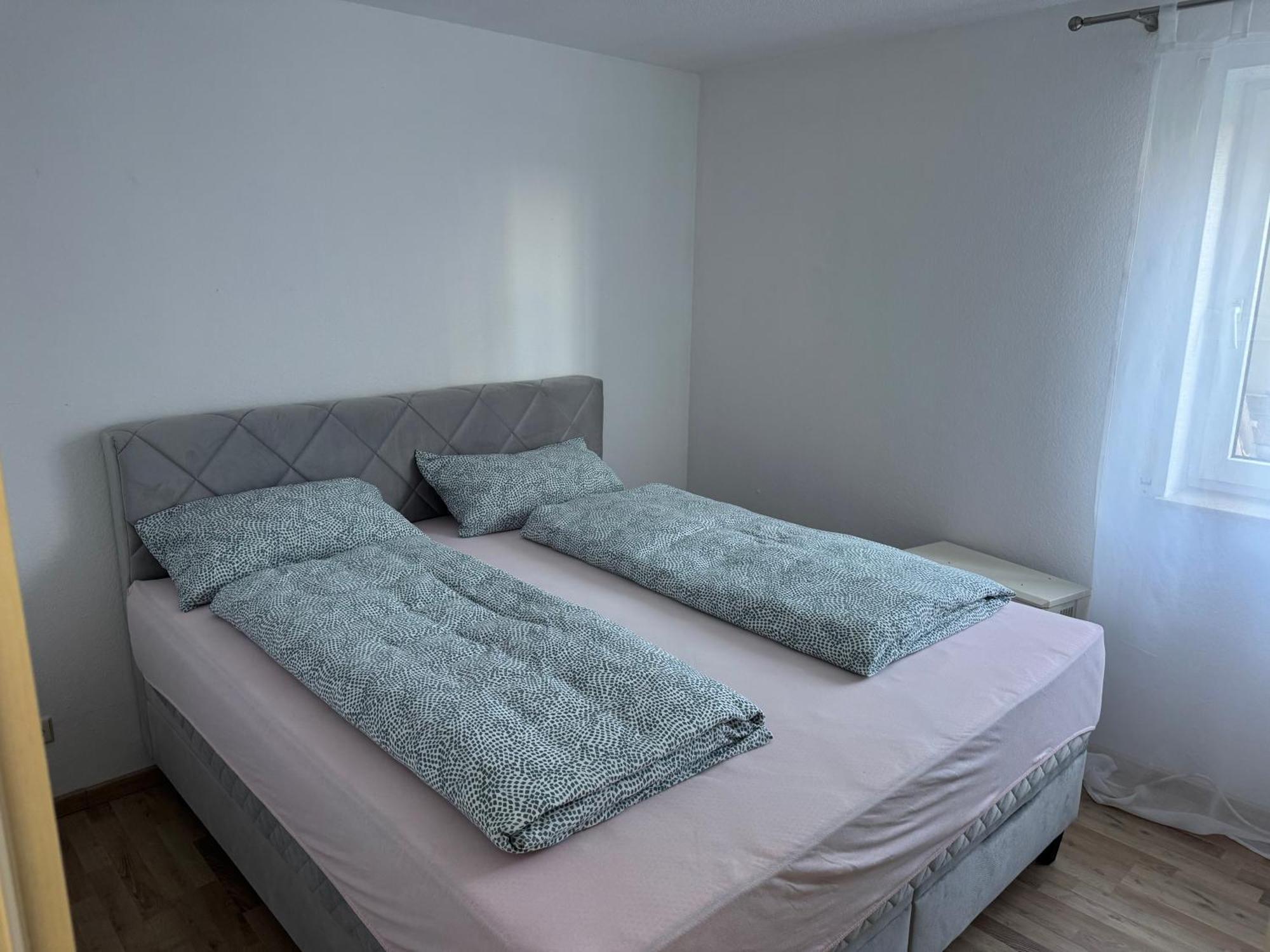 Victoria Appartement Kappel-Grafenhausen Ngoại thất bức ảnh