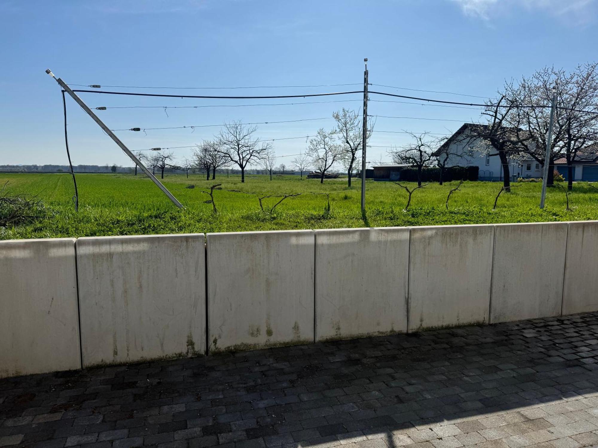 Victoria Appartement Kappel-Grafenhausen Ngoại thất bức ảnh